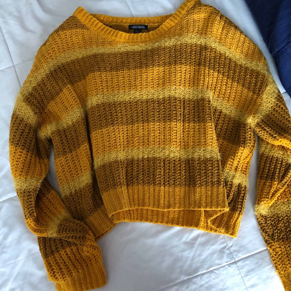 Wild Fable, Cropped Knit Sweater